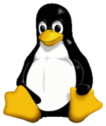 Warum ein Pinguin?